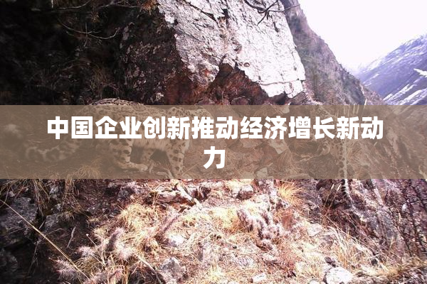 中国企业创新推动经济增长新动力