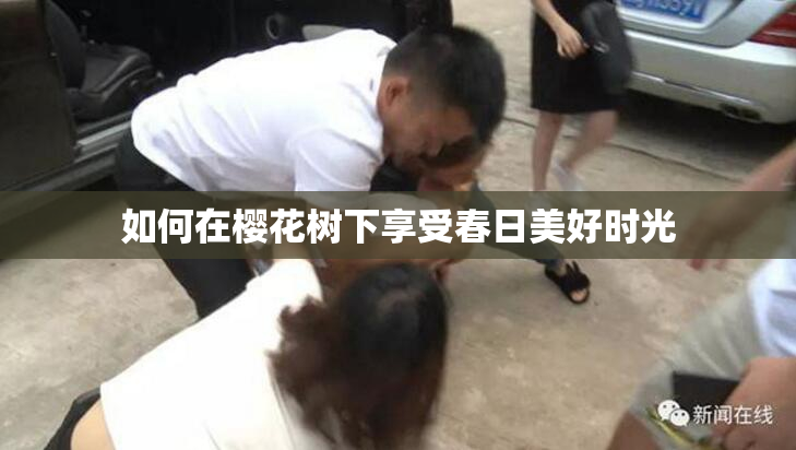 如何在樱花树下享受春日美好时光