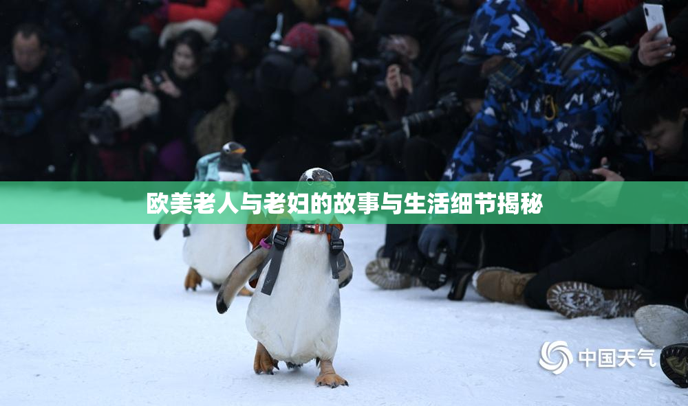 欧美老人与老妇的故事与生活细节揭秘