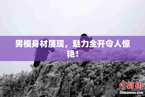 男模身材展现，魅力全开令人惊艳！