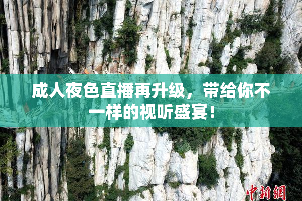 成人夜色直播再升级，带给你不一样的视听盛宴！