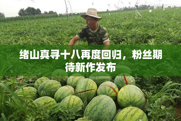 绪山真寻十八再度回归，粉丝期待新作发布