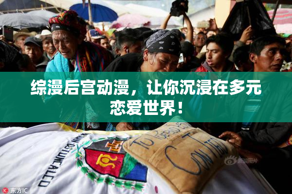 综漫后宫动漫，让你沉浸在多元恋爱世界！