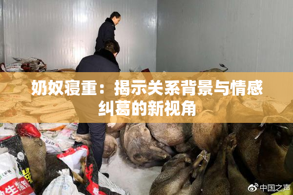 奶奴寝重：揭示关系背景与情感纠葛的新视角