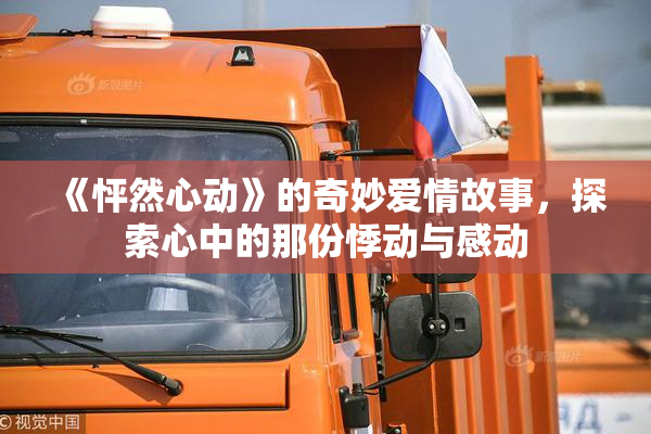 《怦然心动》的奇妙爱情故事，探索心中的那份悸动与感动