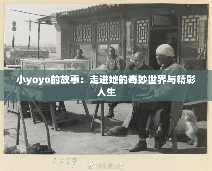 小yoyo的故事：走进她的奇妙世界与精彩人生