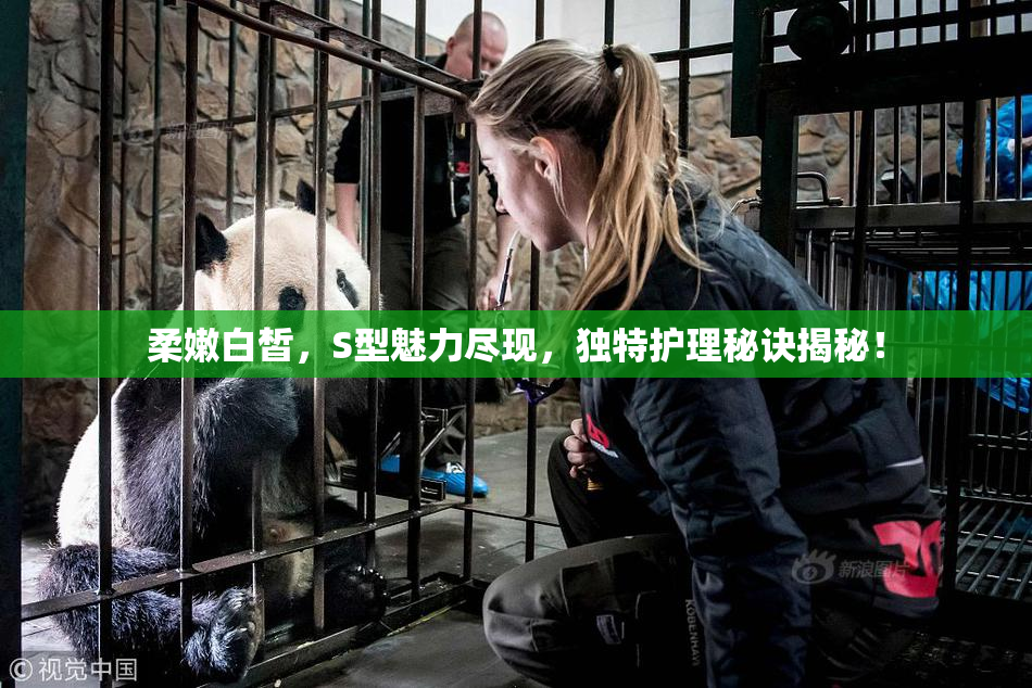 柔嫩白皙，S型魅力尽现，独特护理秘诀揭秘！