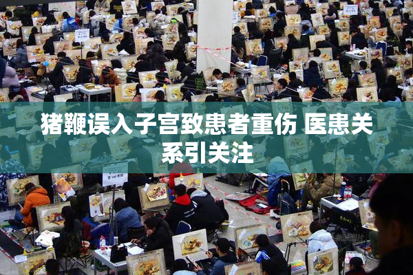 猪鞭误入子宫致患者重伤 医患关系引关注