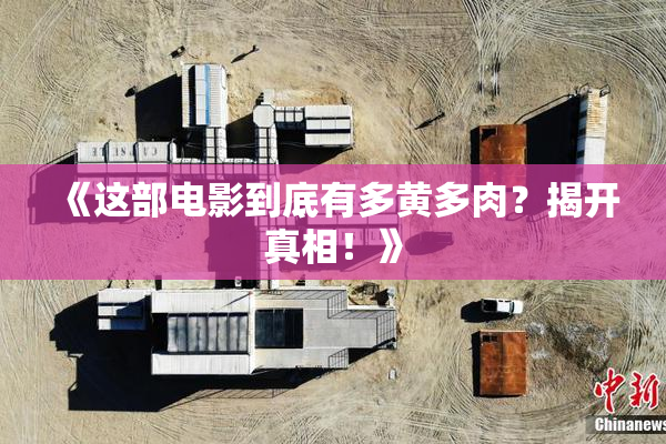 《这部电影到底有多黄多肉？揭开真相！》