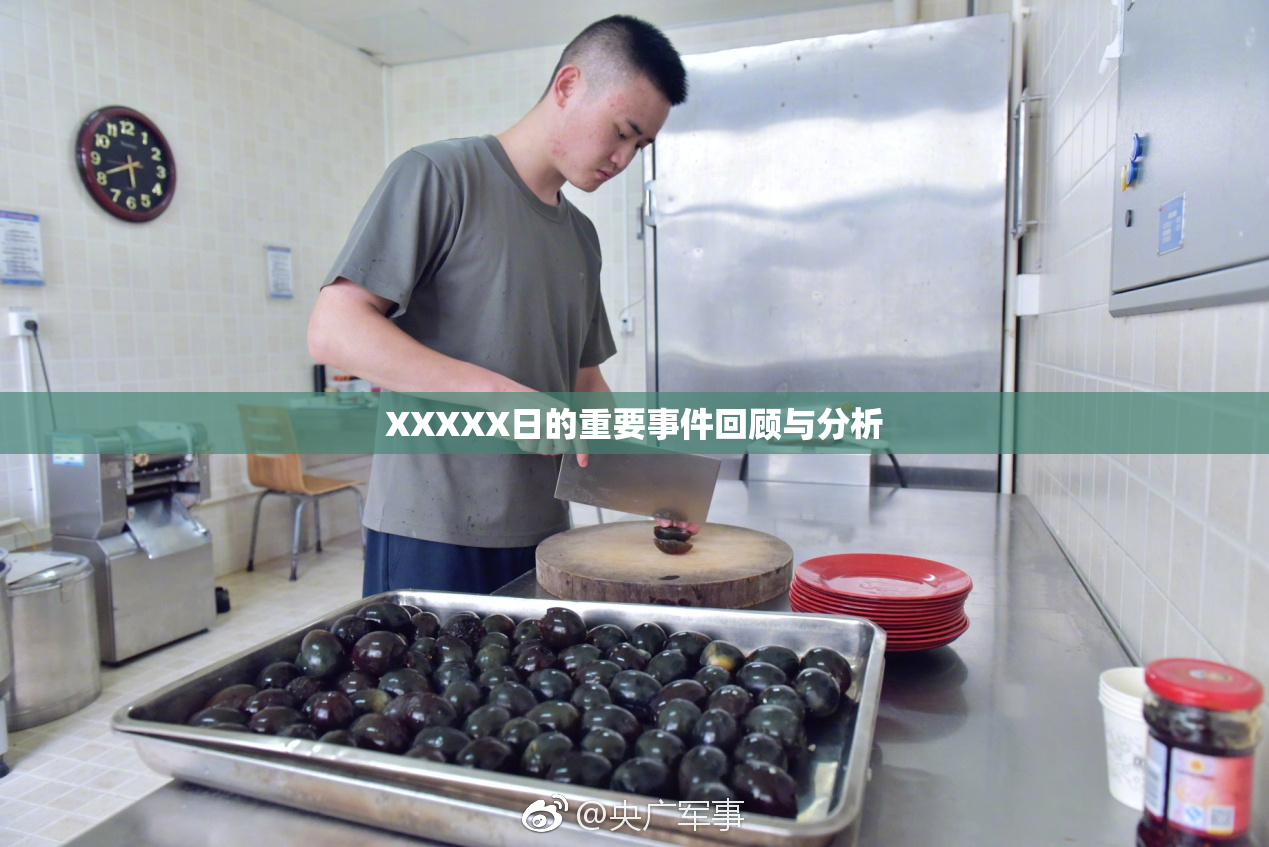 XXXXX日的重要事件回顾与分析