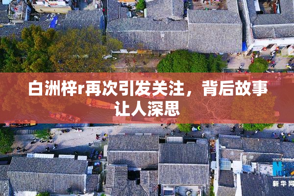 白洲梓r再次引发关注，背后故事让人深思