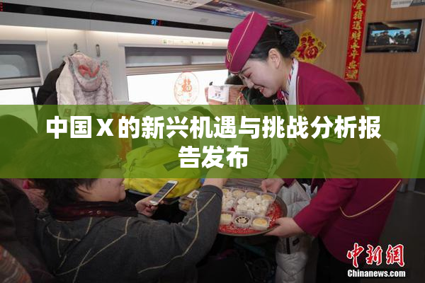 中国Ⅹ的新兴机遇与挑战分析报告发布