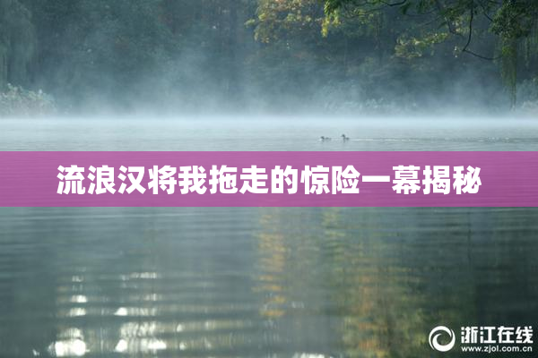 流浪汉将我拖走的惊险一幕揭秘