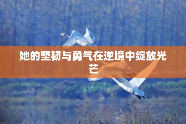 她的坚韧与勇气在逆境中绽放光芒