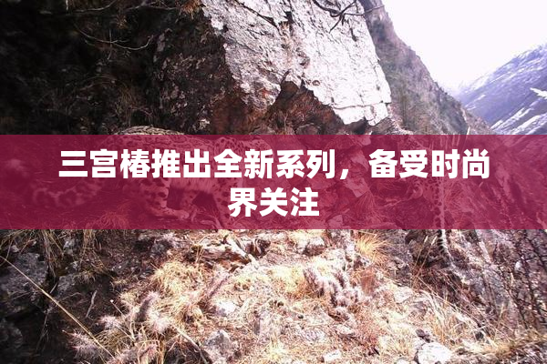 三宫椿推出全新系列，备受时尚界关注