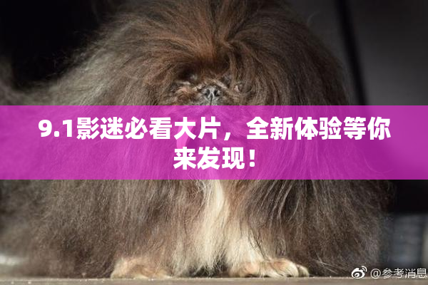 9.1影迷必看大片，全新体验等你来发现！