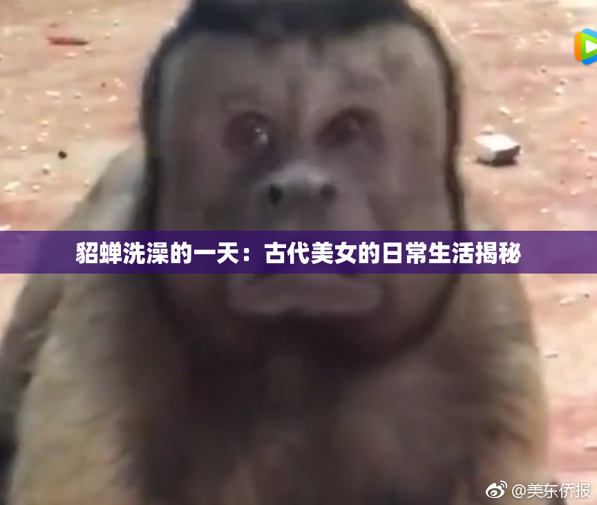 貂蝉洗澡的一天：古代美女的日常生活揭秘