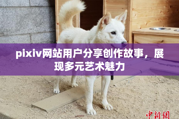 pixiv网站用户分享创作故事，展现多元艺术魅力