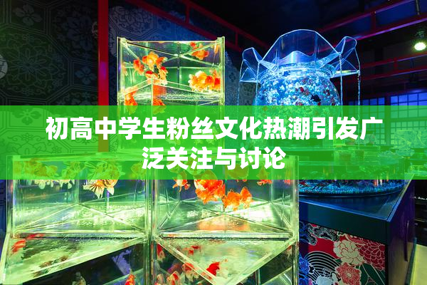 初高中学生粉丝文化热潮引发广泛关注与讨论
