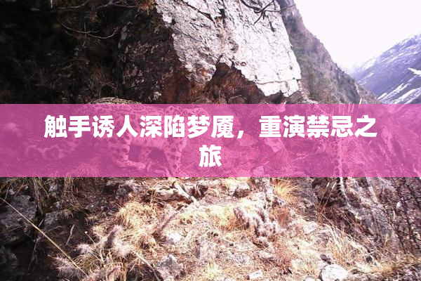 触手诱人深陷梦魇，重演禁忌之旅