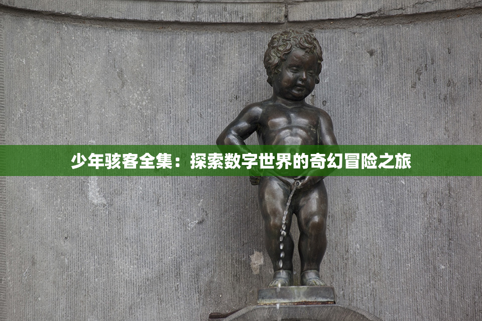 少年骇客全集：探索数字世界的奇幻冒险之旅