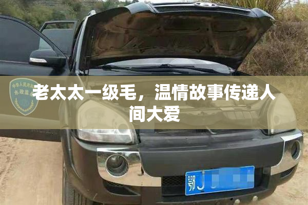 老太太一级毛，温情故事传递人间大爱