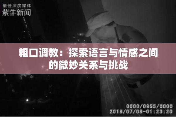 粗口调教：探索语言与情感之间的微妙关系与挑战