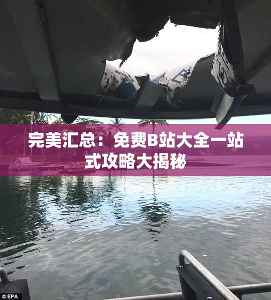 完美汇总：免费B站大全一站式攻略大揭秘