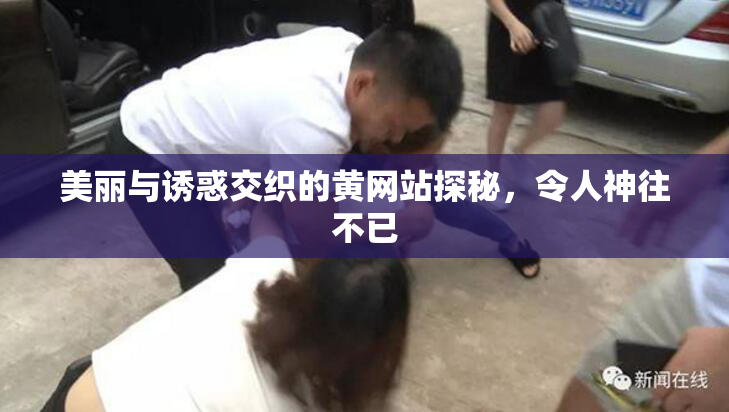 美丽与诱惑交织的黄网站探秘，令人神往不已
