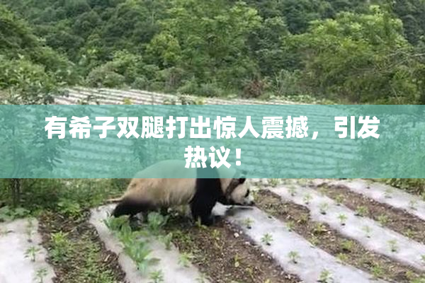 有希子双腿打出惊人震撼，引发热议！