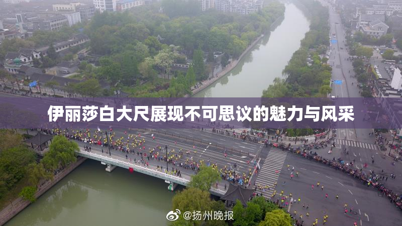 伊丽莎白大尺展现不可思议的魅力与风采