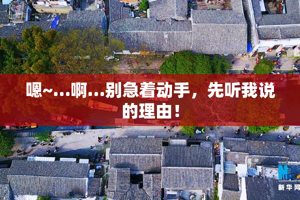 嗯~…啊…别急着动手，先听我说的理由！