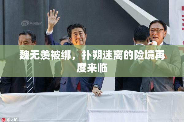 魏无羡被绑，扑朔迷离的险境再度来临