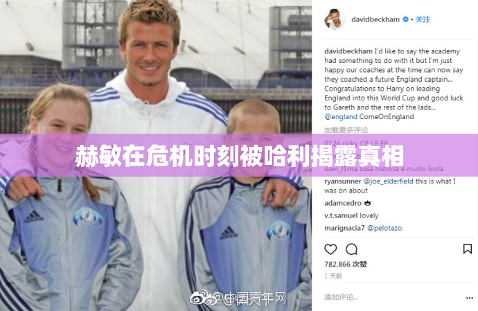 赫敏在危机时刻被哈利揭露真相
