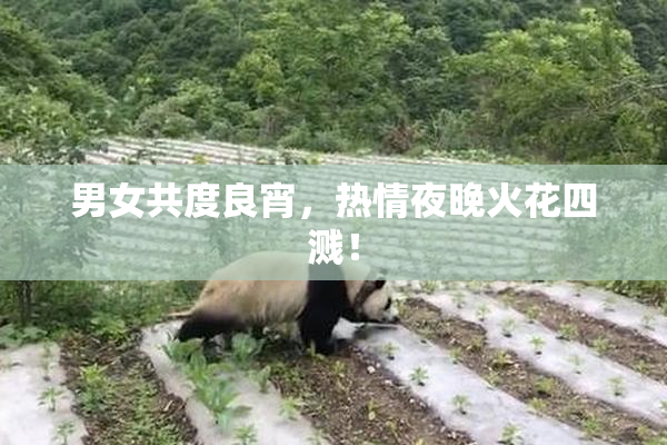 男女共度良宵，热情夜晚火花四溅！