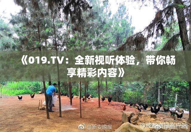 《019.TV：全新视听体验，带你畅享精彩内容》