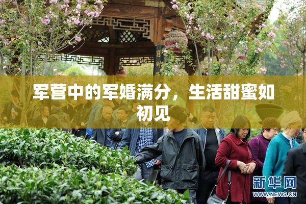军营中的军婚满分，生活甜蜜如初见