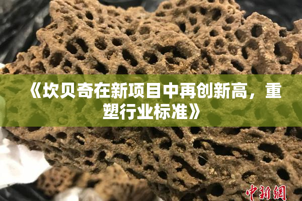 《坎贝奇在新项目中再创新高，重塑行业标准》