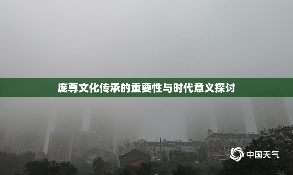 庞尊文化传承的重要性与时代意义探讨