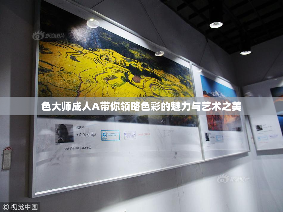 色大师成人A带你领略色彩的魅力与艺术之美