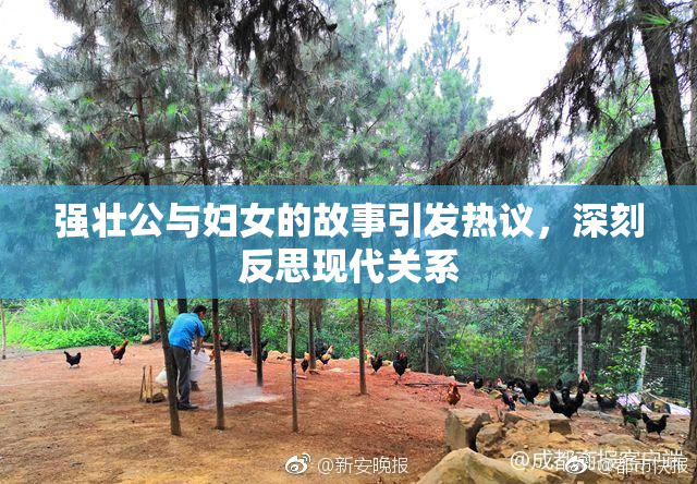 强壮公与妇女的故事引发热议，深刻反思现代关系