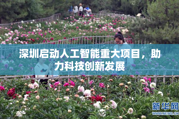 深圳启动人工智能重大项目，助力科技创新发展