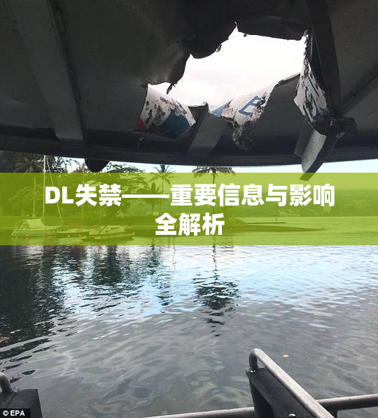 DL失禁——重要信息与影响全解析