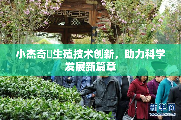 小杰奇犽生殖技术创新，助力科学发展新篇章