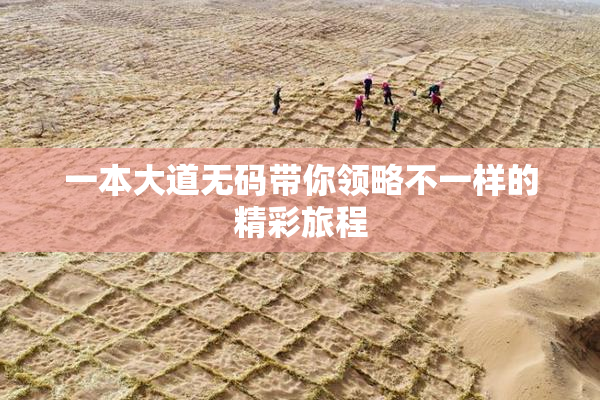 一本大道无码带你领略不一样的精彩旅程