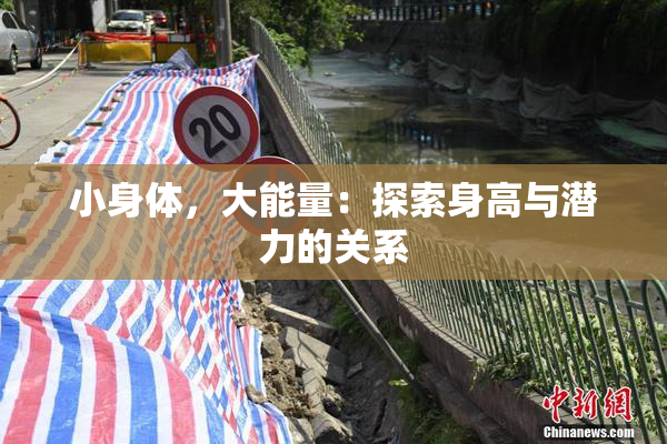 小身体，大能量：探索身高与潜力的关系