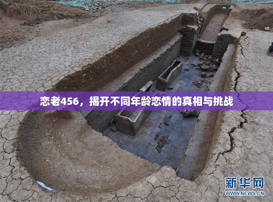 恋老456，揭开不同年龄恋情的真相与挑战
