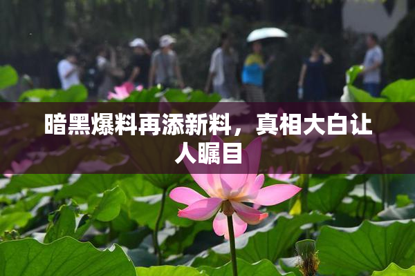 暗黑爆料再添新料，真相大白让人瞩目