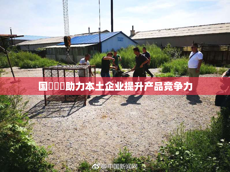 国產梱綁助力本土企业提升产品竞争力