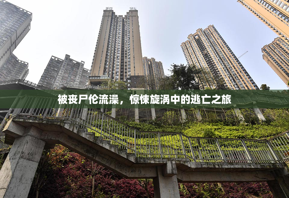 被丧尸伦流澡，惊悚旋涡中的逃亡之旅